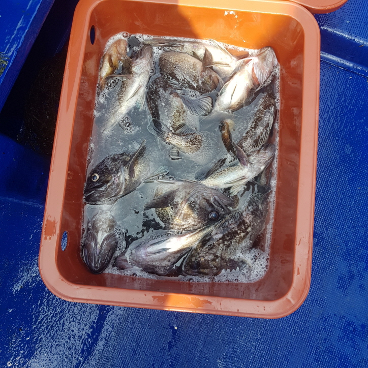 20190622_144910.jpg